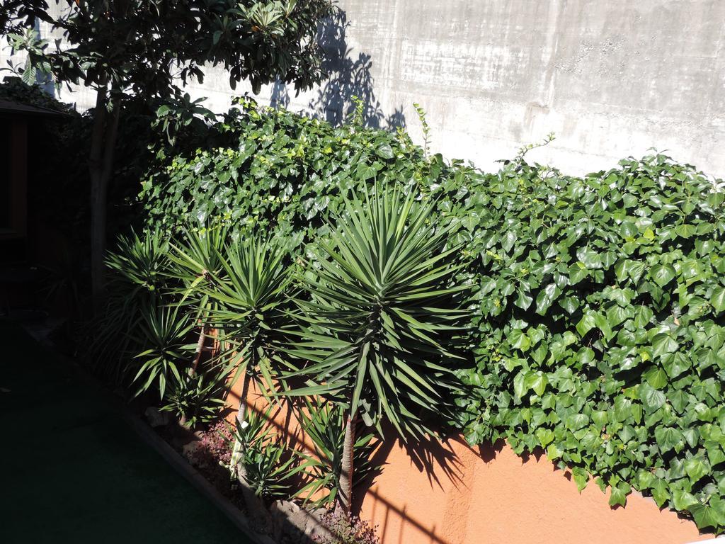 Campanile Suites-alloggio Turistico Guest house 3*